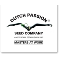 Dutch Passion